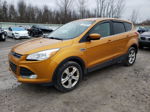 2016 Ford Escape Se Orange vin: 1FMCU9GXXGUA25429