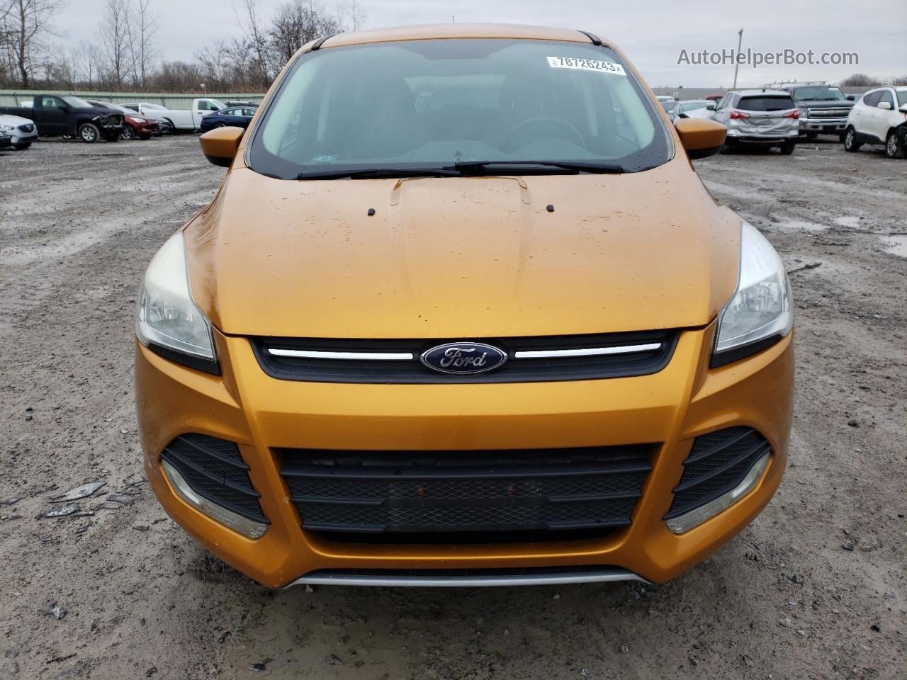 2016 Ford Escape Se Orange vin: 1FMCU9GXXGUA25429