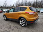 2016 Ford Escape Se Orange vin: 1FMCU9GXXGUA25429