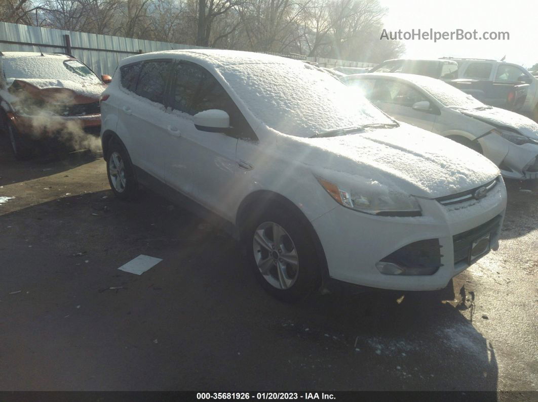 2016 Ford Escape Se White vin: 1FMCU9GXXGUA44921