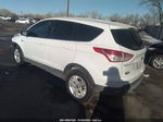 2016 Ford Escape Se White vin: 1FMCU9GXXGUA44921