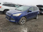 2016 Ford Escape Se Синий vin: 1FMCU9GXXGUB25983