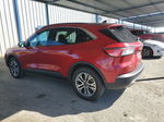 2021 Ford Escape Sel Red vin: 1FMCU9H60MUA64242