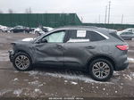 2021 Ford Escape Sel Gray vin: 1FMCU9H61MUA31380