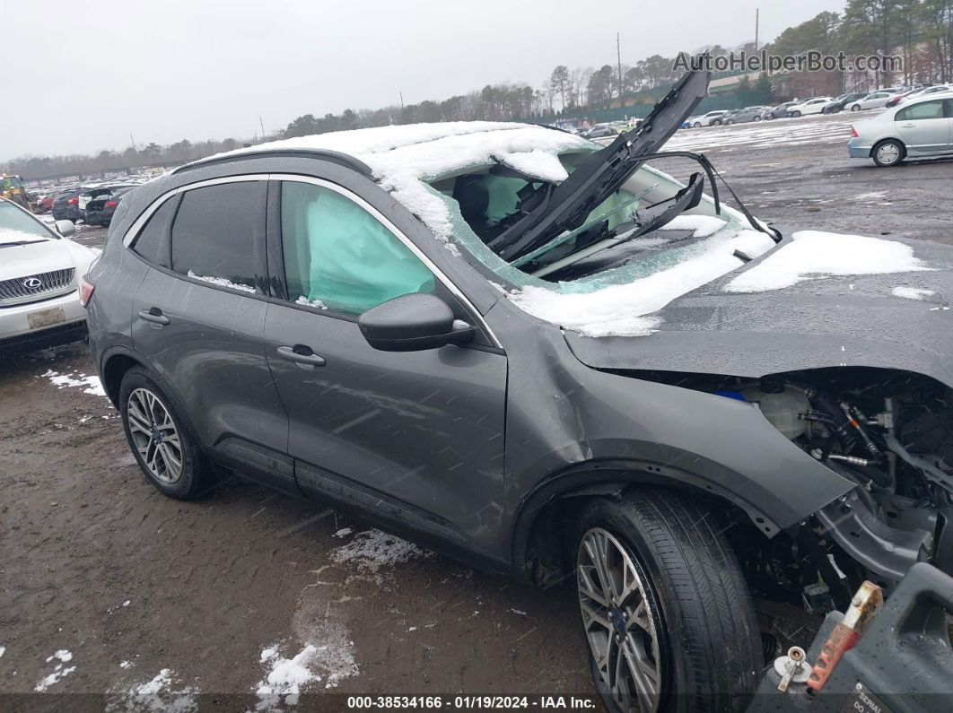 2021 Ford Escape Sel Gray vin: 1FMCU9H61MUA31380