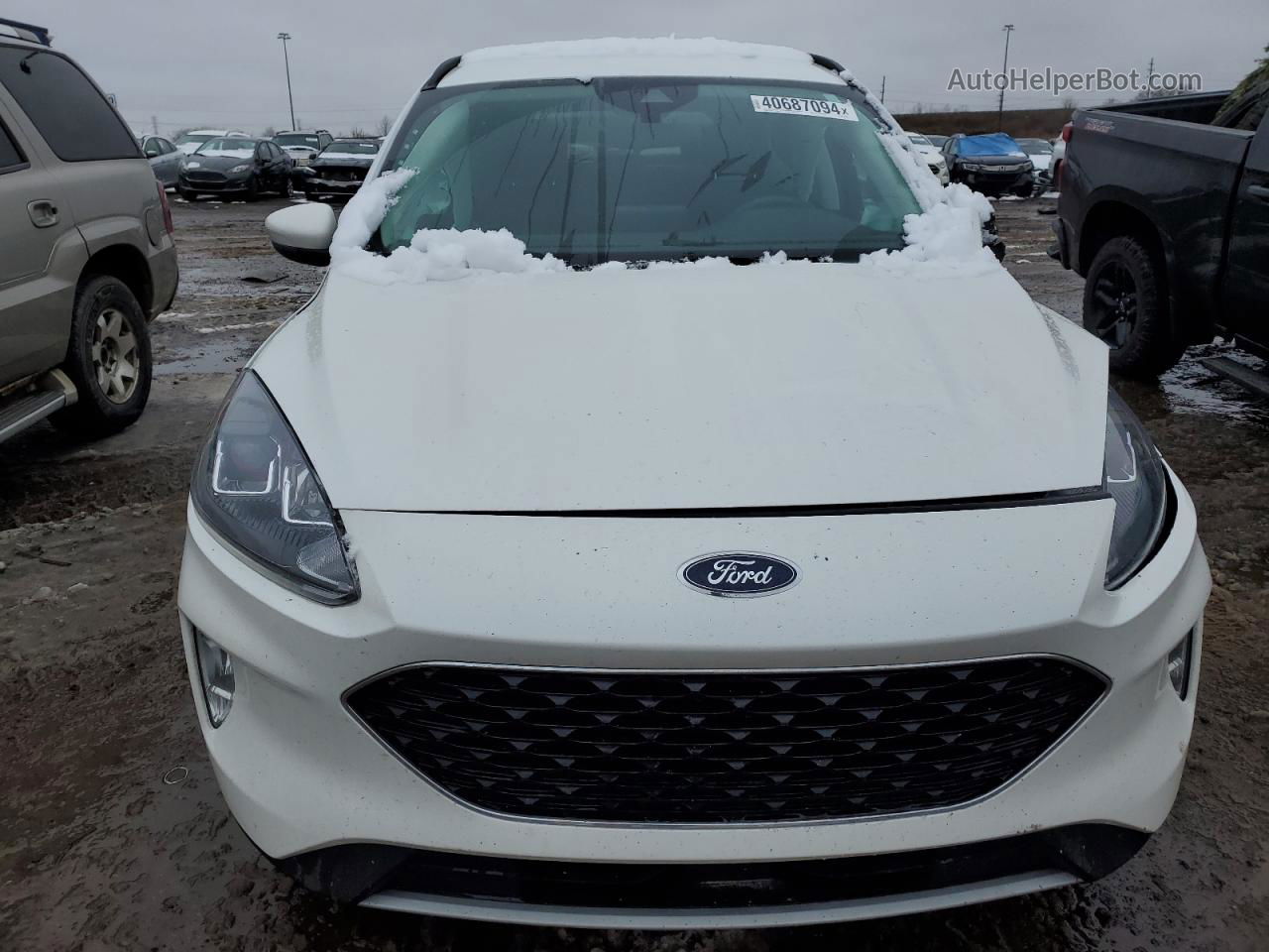 2021 Ford Escape Sel White vin: 1FMCU9H64MUA91508