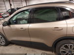 2021 Ford Escape Sel Gold vin: 1FMCU9H64MUB19811