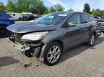 2013 Ford Escape Sel Gray vin: 1FMCU9H90DUA94514