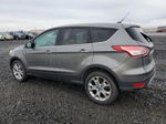 2013 Ford Escape Sel Серый vin: 1FMCU9H90DUC36621