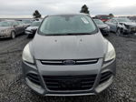 2013 Ford Escape Sel Gray vin: 1FMCU9H90DUC36621