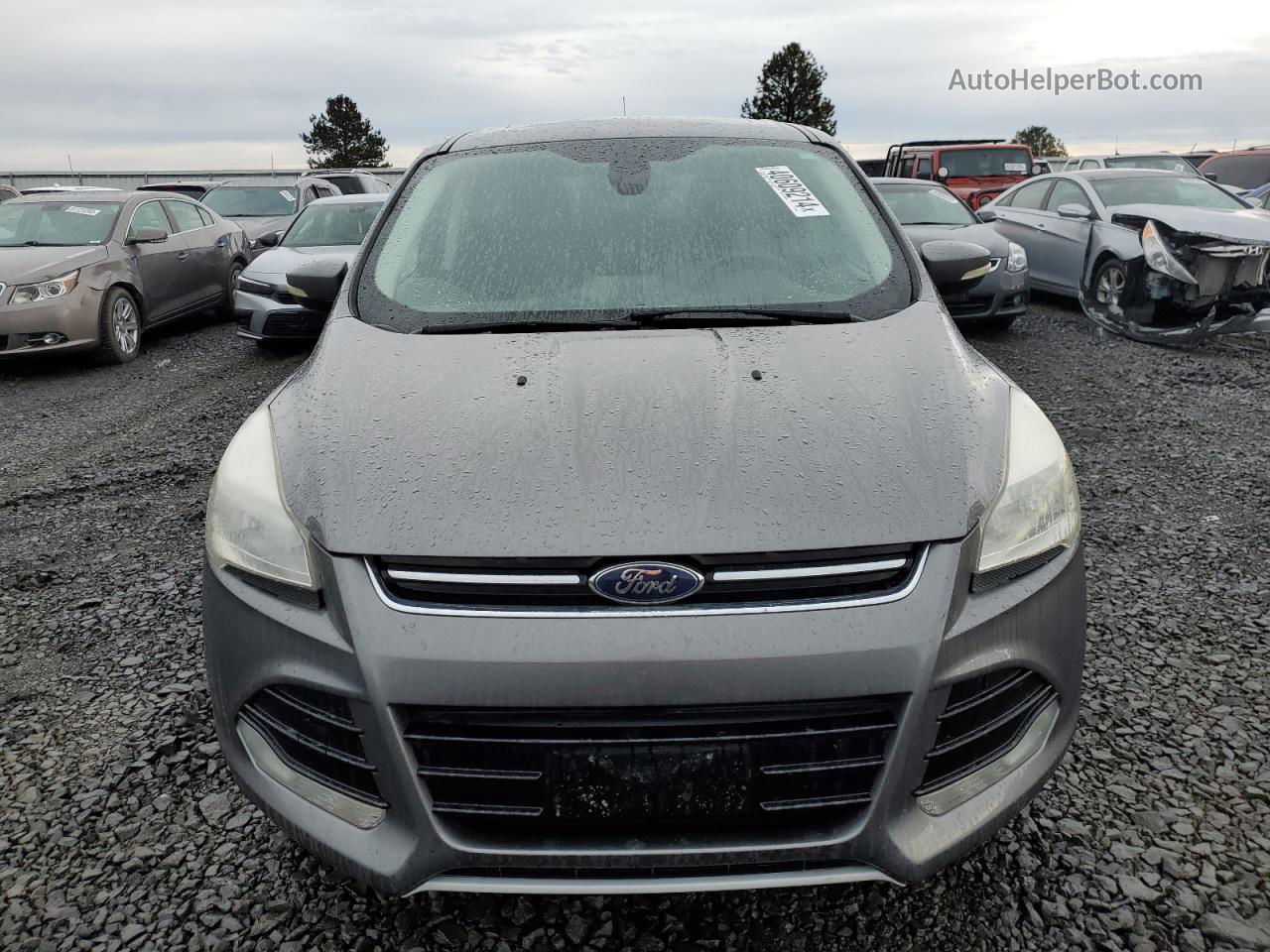 2013 Ford Escape Sel Gray vin: 1FMCU9H90DUC36621