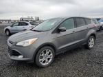 2013 Ford Escape Sel Gray vin: 1FMCU9H90DUC36621