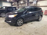 2013 Ford Escape Sel Black vin: 1FMCU9H91DUA54278