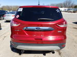 2013 Ford Escape Sel Red vin: 1FMCU9H91DUA61117