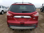 2013 Ford Escape Sel Red vin: 1FMCU9H91DUC86007