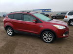 2013 Ford Escape Sel Red vin: 1FMCU9H91DUC86007