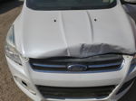 2013 Ford Escape Sel White vin: 1FMCU9H92DUB26847