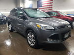 2013 Ford Escape Sel Gray vin: 1FMCU9H92DUB44264