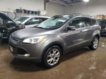 2013 Ford Escape Sel Gray vin: 1FMCU9H92DUB44264