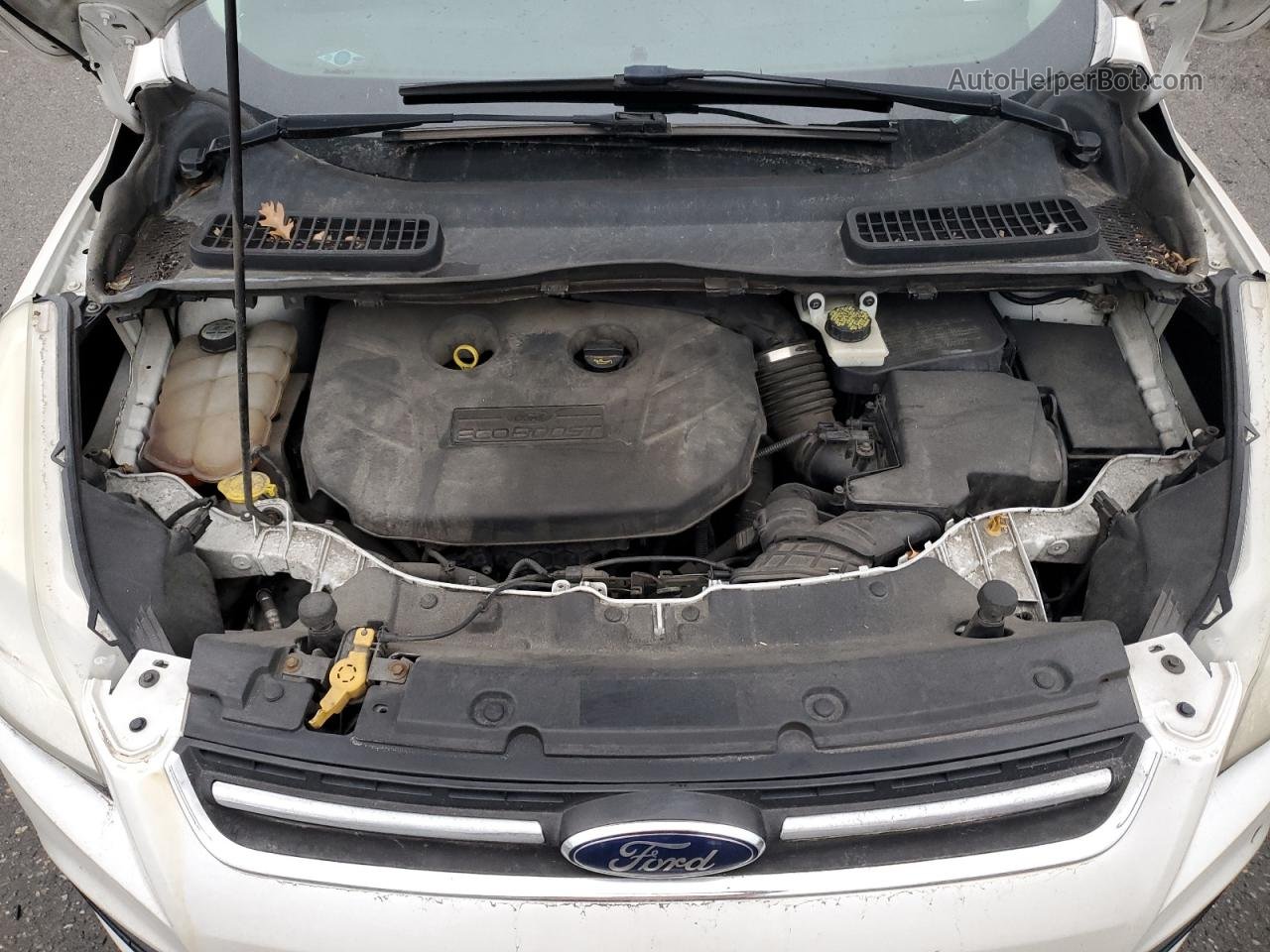 2013 Ford Escape Sel Белый vin: 1FMCU9H92DUC58247