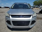 2013 Ford Escape Sel Gray vin: 1FMCU9H93DUB59243