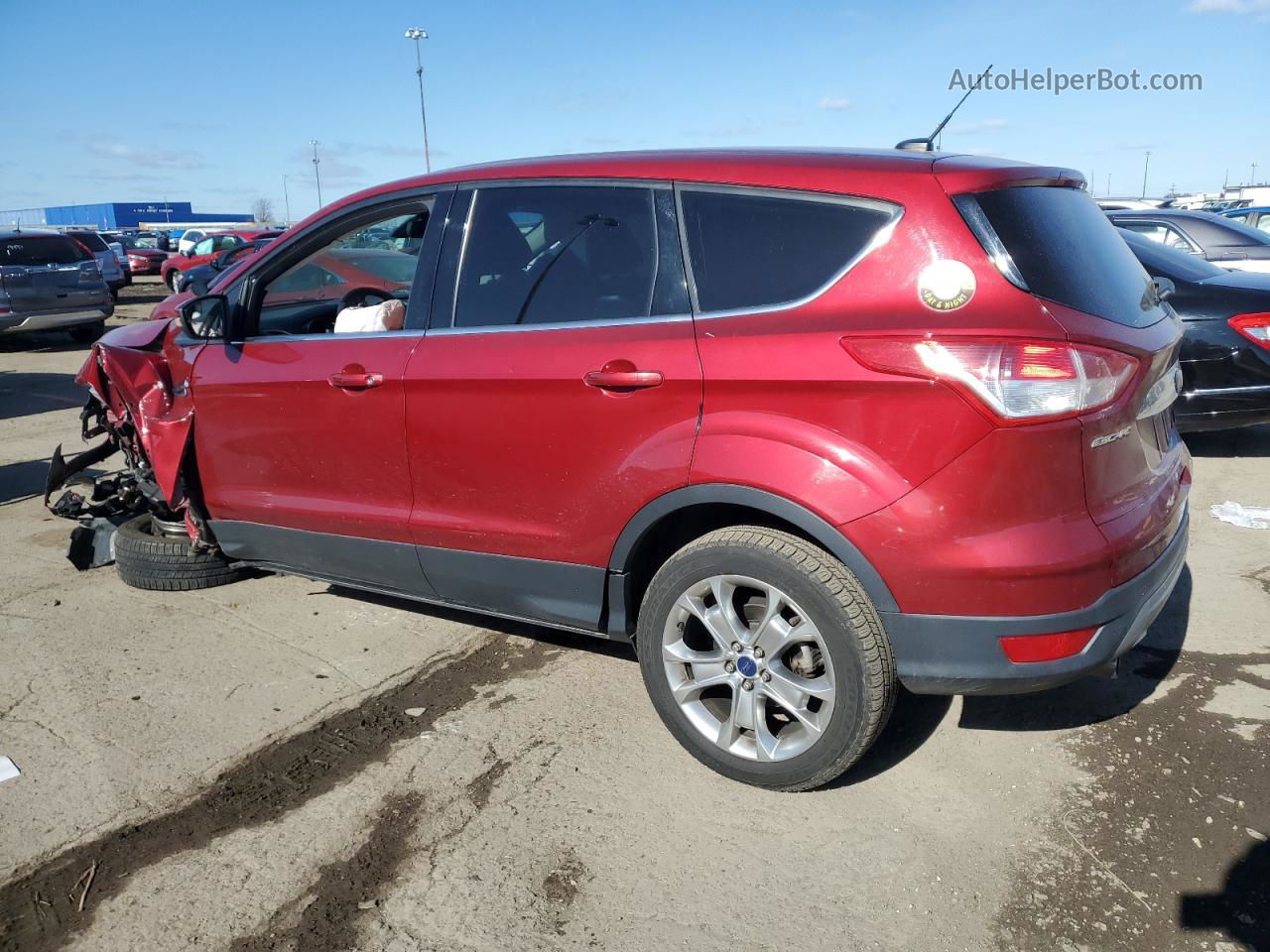 2013 Ford Escape Sel Красный vin: 1FMCU9H93DUC63599