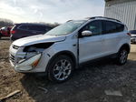 2013 Ford Escape Sel White vin: 1FMCU9H95DUA98686