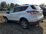 2013 Ford Escape Sel White vin: 1FMCU9H95DUA98686