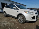 2013 Ford Escape Sel White vin: 1FMCU9H95DUA98686