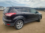 2013 Ford Escape Sel Black vin: 1FMCU9H95DUC47758