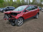 2013 Ford Escape Sel Red vin: 1FMCU9H96DUB72469