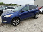 2013 Ford Escape Sel Blue vin: 1FMCU9H97DUD59316