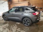 2021 Ford Escape Sel Gray vin: 1FMCU9H97MUA19728