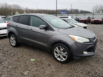 2013 Ford Escape Sel Gray vin: 1FMCU9H98DUA47375