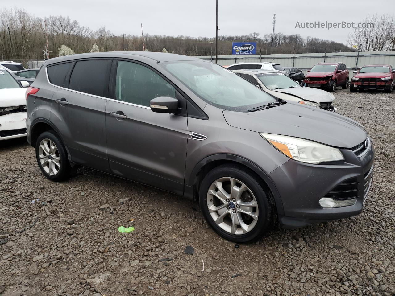 2013 Ford Escape Sel Gray vin: 1FMCU9H98DUA47375