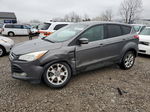 2013 Ford Escape Sel Gray vin: 1FMCU9H98DUA47375