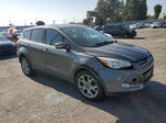 2013 Ford Escape Sel Серый vin: 1FMCU9H98DUA73555