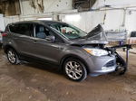 2013 Ford Escape Sel Угольный vin: 1FMCU9H98DUD01943