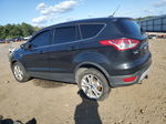 2013 Ford Escape Sel Черный vin: 1FMCU9H99DUC95716