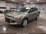 2013 Ford Escape Sel Зеленый vin: 1FMCU9H9XDUA07945