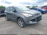 2013 Ford Escape Sel Gray vin: 1FMCU9H9XDUD30294