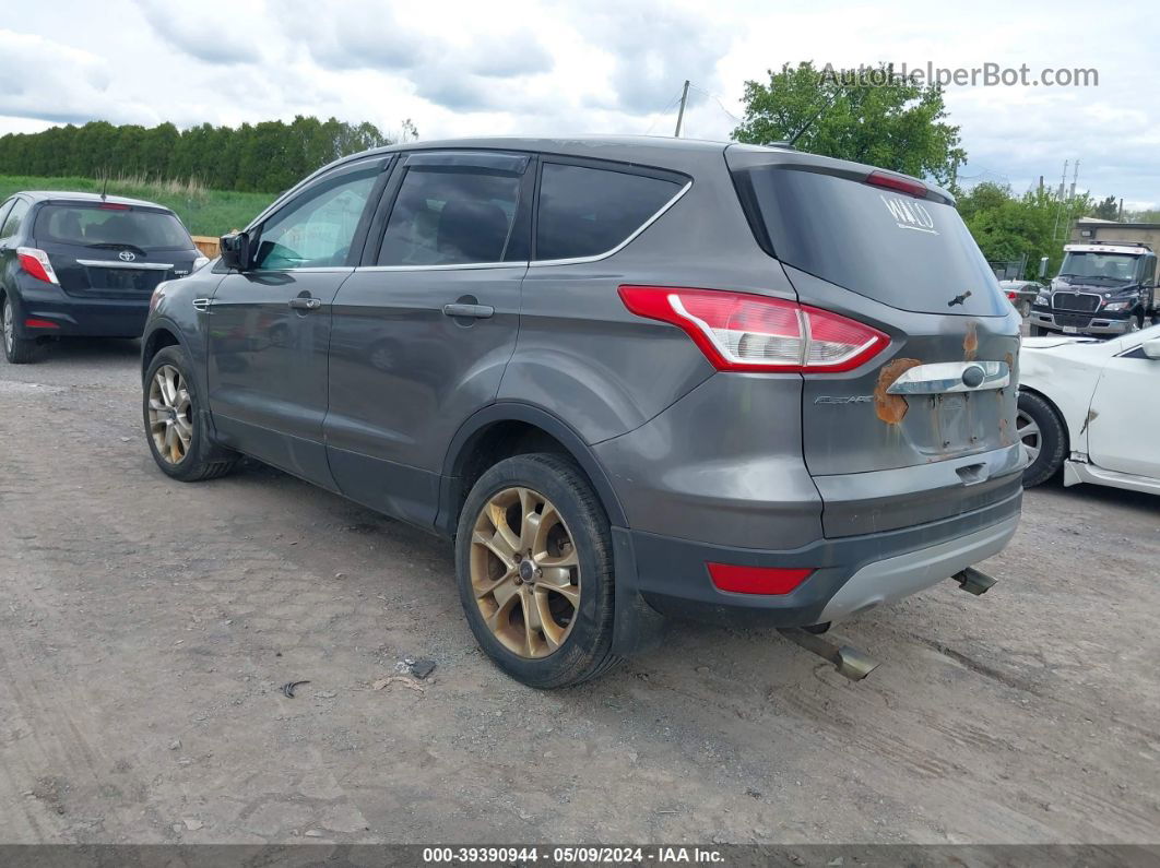 2013 Ford Escape Sel Gray vin: 1FMCU9H9XDUD30294