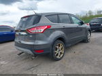 2013 Ford Escape Sel Gray vin: 1FMCU9H9XDUD30294