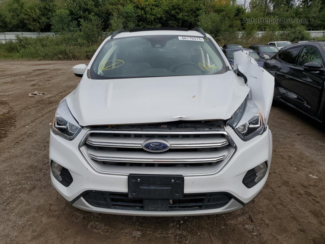 2019 Ford Escape Sel White vin: 1FMCU9HD0KUA56847