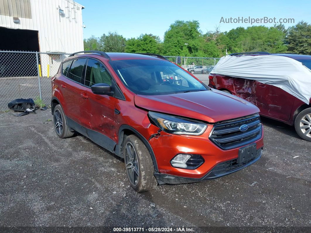 2019 Ford Escape Sel Orange vin: 1FMCU9HD0KUC43473