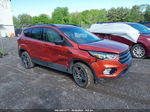 2019 Ford Escape Sel Orange vin: 1FMCU9HD0KUC43473