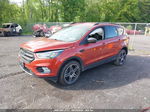 2019 Ford Escape Sel Orange vin: 1FMCU9HD0KUC43473