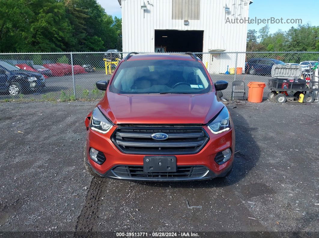 2019 Ford Escape Sel Orange vin: 1FMCU9HD0KUC43473