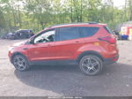 2019 Ford Escape Sel Orange vin: 1FMCU9HD0KUC43473