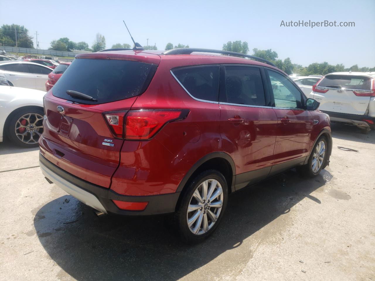 2019 Ford Escape Sel Red vin: 1FMCU9HD3KUC00181